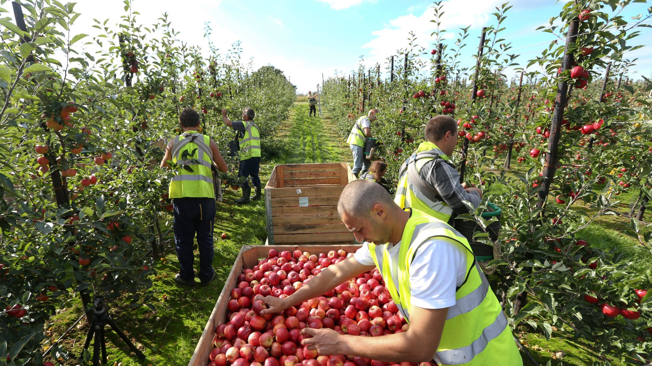Agricultural Recruitment